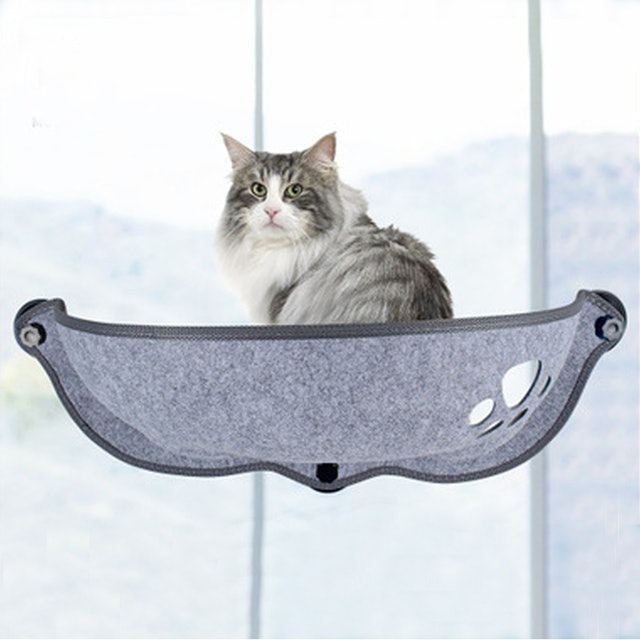 Cat Window Hammock 1