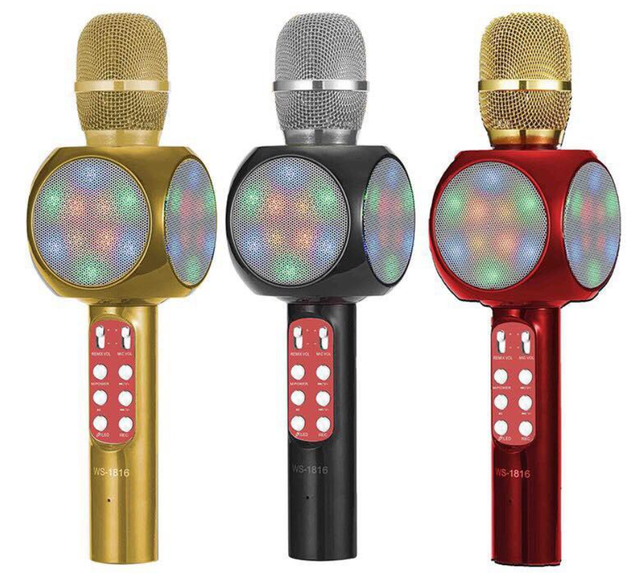 WSTER Wireless Microphone Hi-Fi Speaker 1