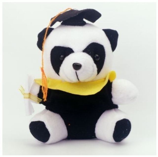 Boneka Wisuda Panda Mini  1