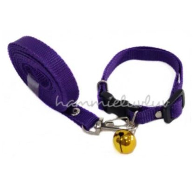 Dog Collar + Leash 1 cm 1