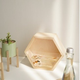 Hexagon Mini Aquascape 1