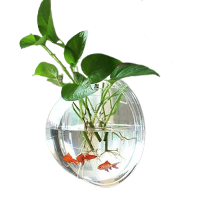 Aquarium Tempel Bentuk Bulat untuk Tanaman dan Ikan Cupang 1