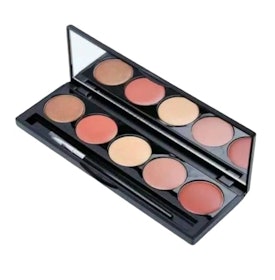 LT Pro Lip Colour Palette 1