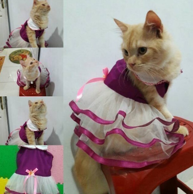 Baju Kucing Tangerang (BAKUTA) Dress Princess Ungu 1