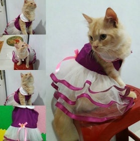 Baju Kucing Tangerang (BAKUTA) Dress Princess Ungu 1