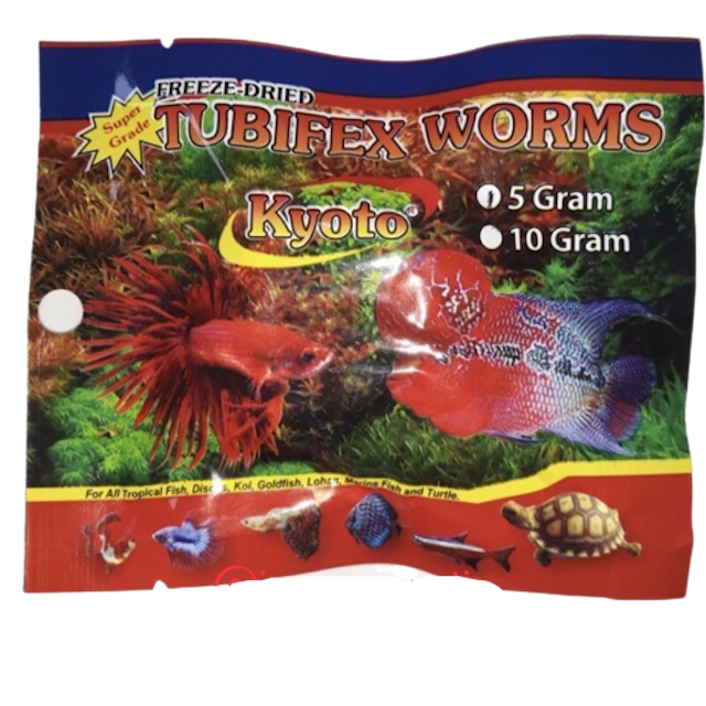 Kyoto Tubifex Worms 1