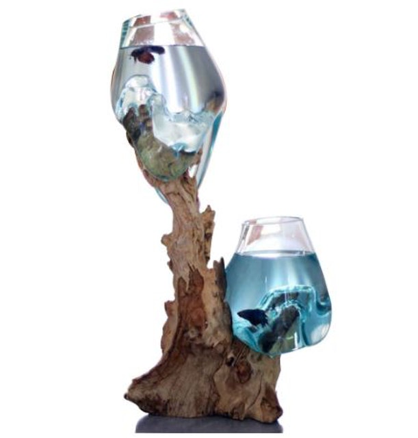 Akuarium Ikan Cupang Plus Akar Unik Cabang 2 1