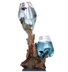 Akuarium Ikan Cupang Plus Akar Unik Cabang 2 1