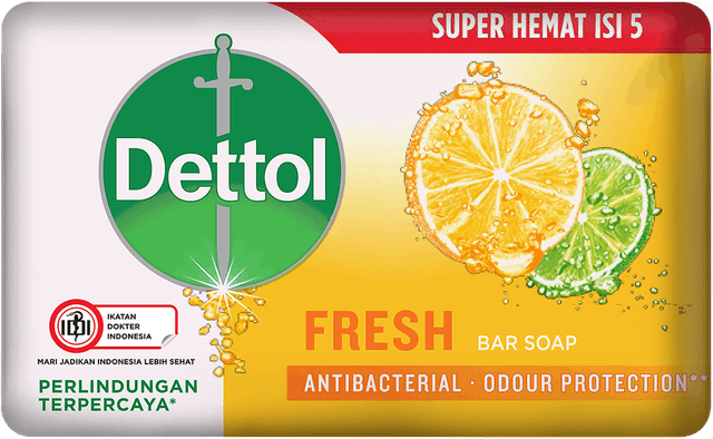 Reckitt Benckiser Dettol Fresh Bar Soap Antibacterial Odour Protection 1