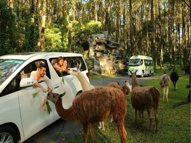 Taman Safari Prigen  1