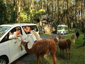 Taman Safari Prigen 1