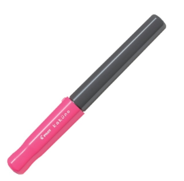 Pilot Fountain Pen Kakuno 1