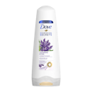 10 Rekomendasi Conditioner Dove Terbaik (Terbaru Tahun Ini)
