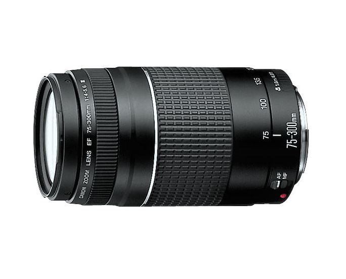 10 Rekomendasi Lensa Tele Terbaik (Terbaru Tahun 2022)