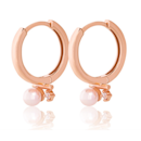 10 Merk Anting Emas Terbaik untuk Wanita (Terbaru Tahun Ini)