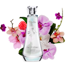 10 Rekomendasi Parfum Vitalis Terbaik (Terbaru Tahun Ini)