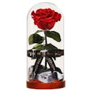 10 Rekomendasi Preserved Flowers Terbaik (Terbaru Tahun Ini)