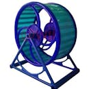 10 Rekomendasi Mainan Hamster Terbaik (Terbaru Tahun Ini)