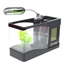 10 Aquarium Cupang Terbaik - Ditinjau oleh Aquascaper (Terbaru Tahun Ini)