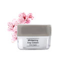 10 Day Cream Terbaik - Ditinjau oleh Dermatovenereologist (Terbaru Tahun Ini)